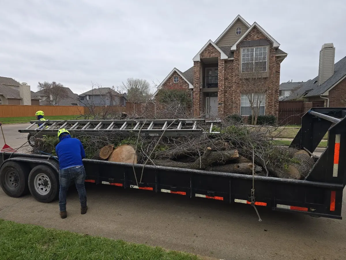 Expert Tree Fertilization with proper safety equipment in Moapa